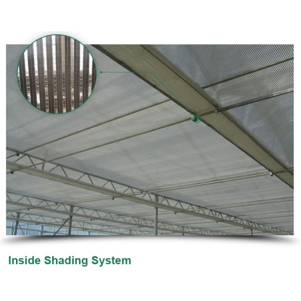 Сельскохозяйственная теплица для выращивания овощей, фруктов и цветов в любое время года