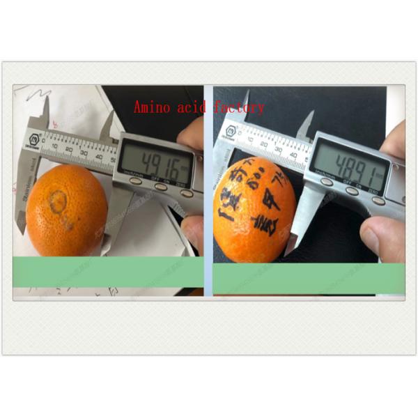 Удобрение Mg Ca аминокислоты жидкостное органическое особенное для фруктовых деревьев