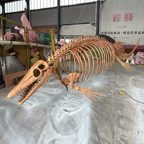 Life Size Simulation Skeleton Dinosaur Fossil For Museum Exhibition