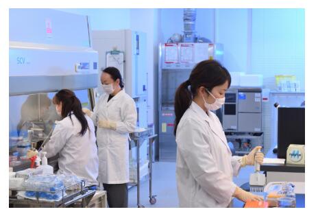 Water Solubility Chitosan Agriculture Products Strawberry Preserve