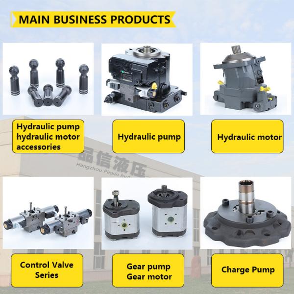 Hydraulic Valve A4vg40ep A10vg45ep for Repairing Hydraulic Pump Parts on Crawler Crane