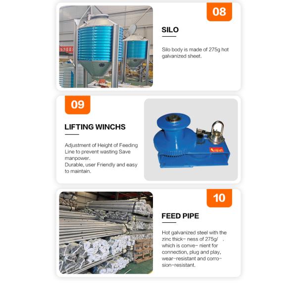 Comedero automático para pájaros, comedero para pájaros, maquinaria y equipo agrícola