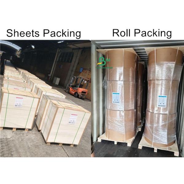 Водоустойчивый бумага 200gsm + 15g покрытая PE Cupstock для на вынос чашки напитка Водоустойчивый бумага 200gsm + 15g покрытая PE Cupstock для на вынос чашки напитка