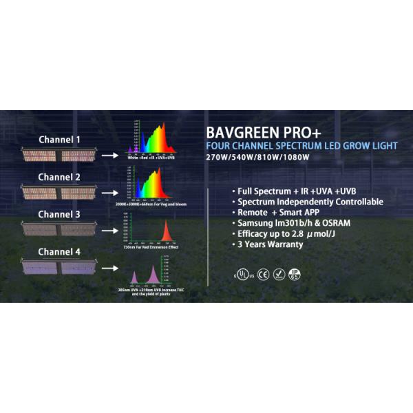 Indoor Greenhouse LM301H LED Grow Light 270w 2x4 sq ft Sonsen Driver