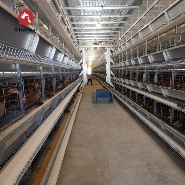 Le poulet soudé de couche d'oeufs de fil met en cage le type chaud de Q235A H plongé galvanisé