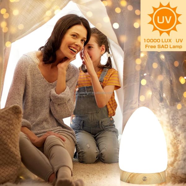 Dimmable Daylight Light Therapy Lamp OEM ODM Daylight Lamp With Timer