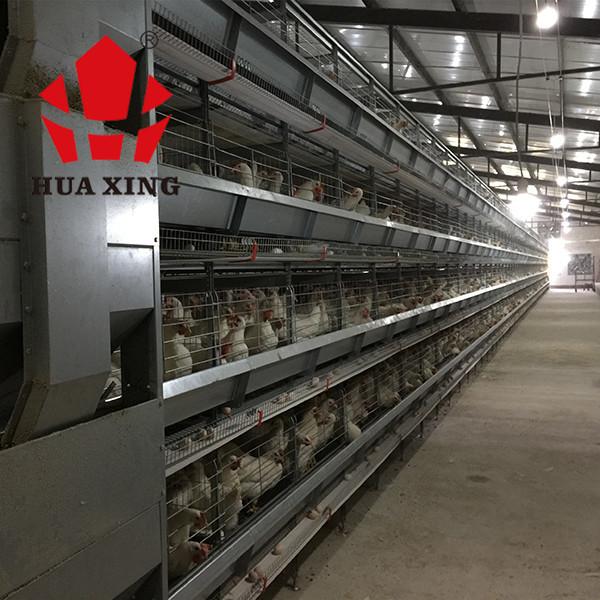 Battery Layer Chicken Cage With Poultry Farming Equipment For Animal Poultry Husbandry Livestock