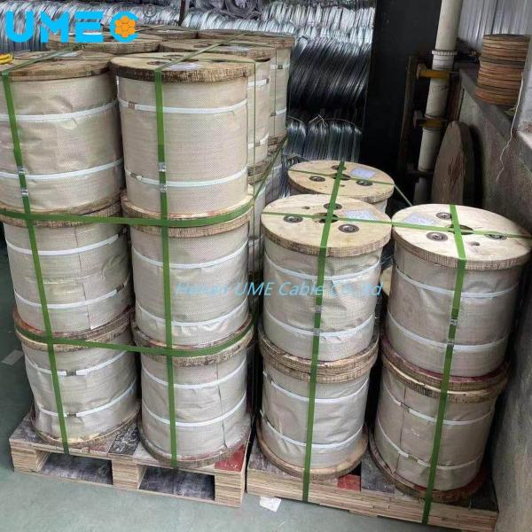 Galvanized Steel Cable 1X7 Ehs 1/4 Zinc-Coated Class a Grade 7/2.03mm Stay Wire Guy Wire
