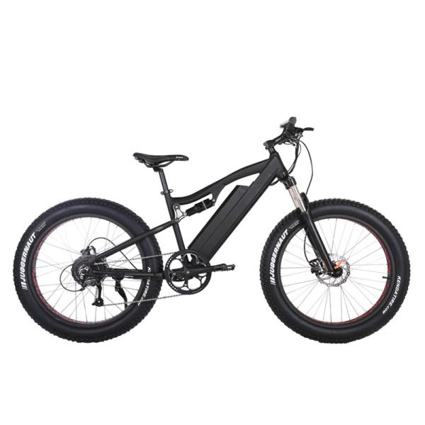 Customized Electric Bicycle 48v 500w Full Suspension E Bike with 13 AH Down Tube Battery