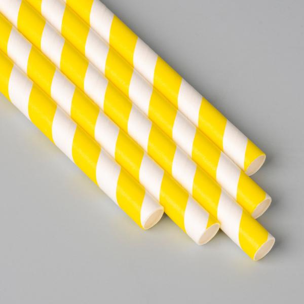 Colorful Stripe Box Packed Disposable Paper Straw Eco - Friendly