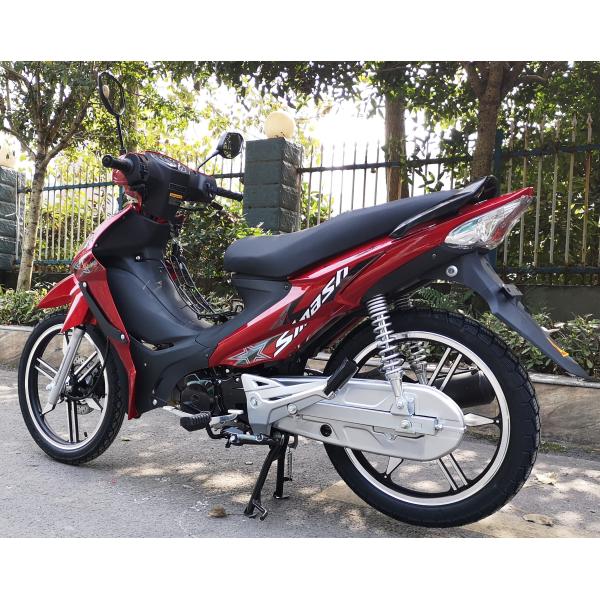 Super Cub Motorcycle Air Cooling Engine Lion Single cylinder Engine Type