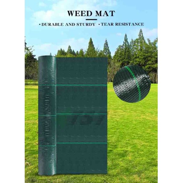 Heavy Duty Green Color Pp Weed Control Ground Cover For Greenhouse Garden