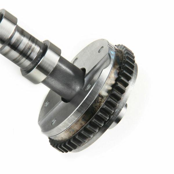 06H109021J Engine Parts Camshaft for AUDI A5, VW PASSAT, SEAT LEON (1P1)