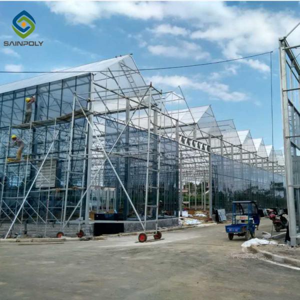 6m Vegetable Plant Commercial Hermetic Glass Greenhouse
