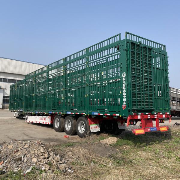 Customized Tri Axis Semi Trailer for Large Capacity Cargo and Livestock Transportation