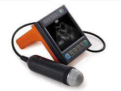 Veterinary Ultrasound Scanner
