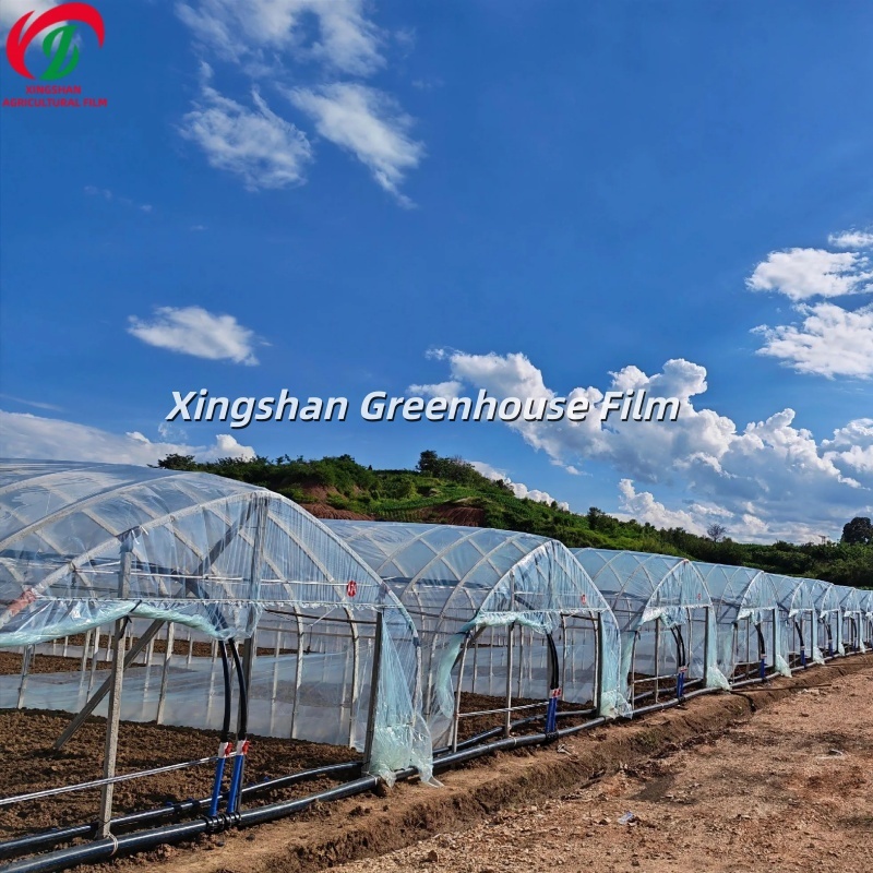 High Light Transmission PE Greenhouse Film Plastic Polyethylene Greenhouse Cover