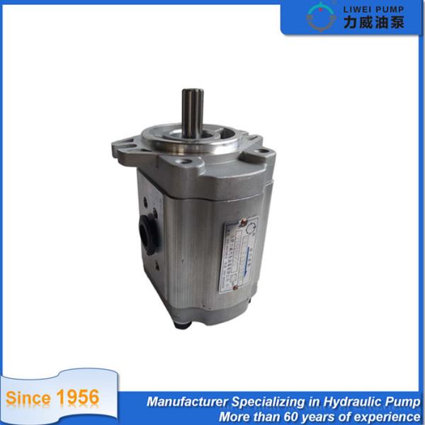 4D95S Forklift Hydraulic Overload Pump Cast Iron Gear Pump 37B-1KB-2020