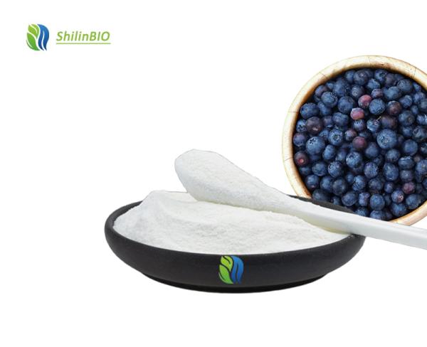 Blueberry Powder Bulk