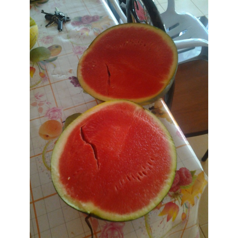 New One Big Size Seedless Red Watermelon Seeds Chinese Vegetable Seeds W01