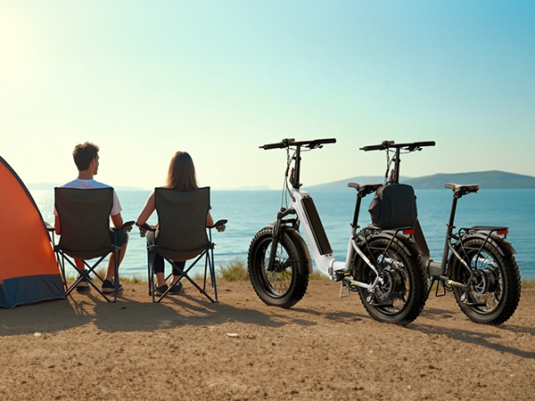 Electric Folding Bike 48V 750W 20x4.0 Fat Tire E-bike Lockable Suspension  Urban Foldable Bicycle