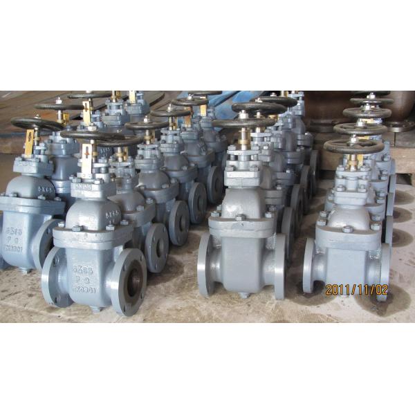JIS F7363 Cast iron gate valve for marine F7363 F7364 F7369
