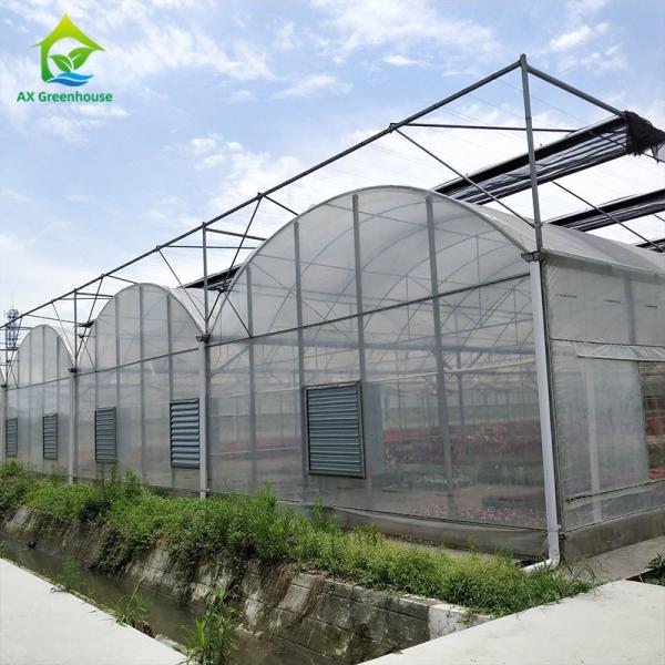 UV Protection Greenhouse Cover Materials High Strength PE Stretch Film