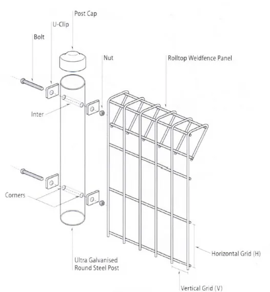 Decorative Galvanized Wire Fence Ornamental Double Loop Roll Top