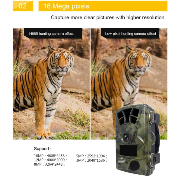 Mini Hidden 16MP Sensor 1080P Camera Long Standby IP66 Waterproof Surveillance LED Night Vision Hunting Trail Camera