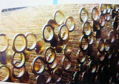 Filter Bag Cage of Galvanized Steel for Baghouse Dust Collector