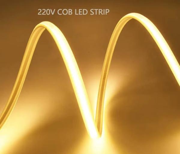 50cm Cuttable Length AC220V COB LED Strip with CE Certification