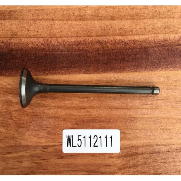 Клапаны двигателя WL51 12111 для Mazda B2500