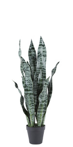 Artificial Succulent Plants - Realistic Artificial Flowering Cactus, Fake Succulent Plant Decor for Home Office