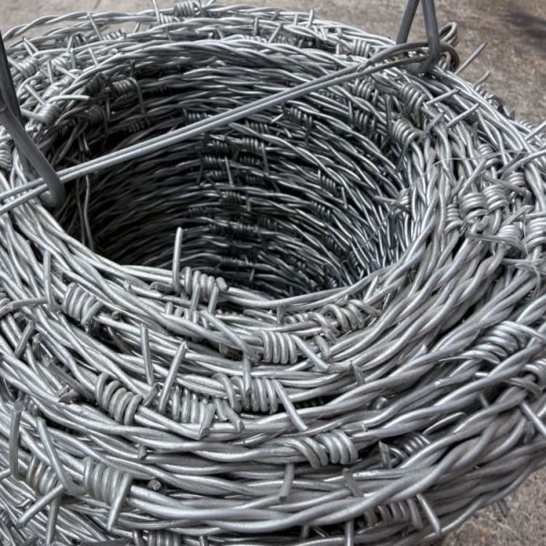 Galvanized Concertina Wire, Single Coil Barbed Tape for Military Base Fence