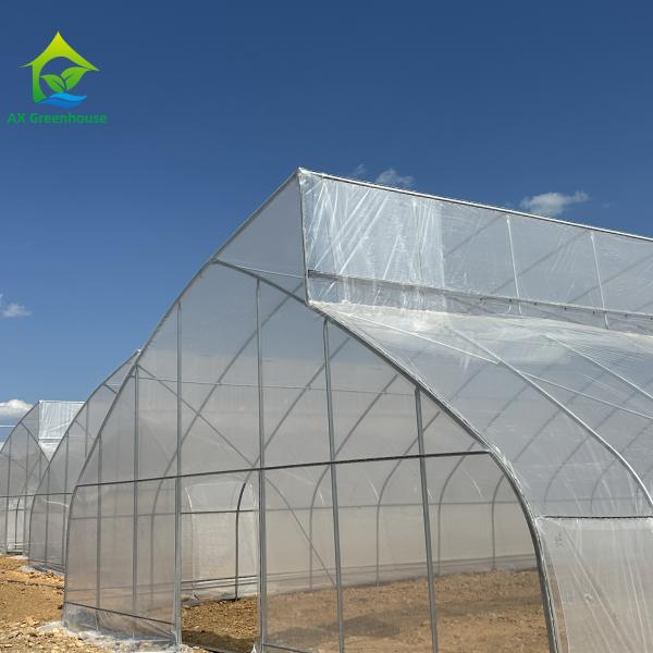 Serre à film plastique avec système hydroponique