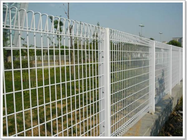 ARC Banksia Galvanized Metal Fence Panels , Heavy Gauge Welded Wire Fence Weldmesh Roll Top