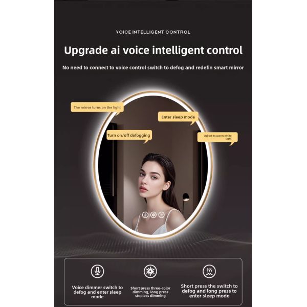 Modern Luxury Smart LED Vanity Mirror Oval Framed with Touch Switch Wall-Mounted Makeup Mirror for Salon Hotel Apartment