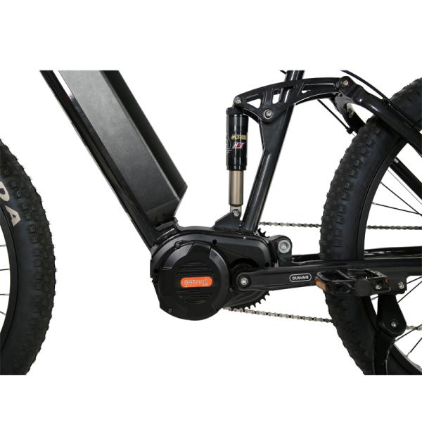 Hydraulic Disc Brake and Kenda Tire 26 inch Alloy Frame Electric Mountain Bike for OEM
