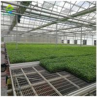 Plantas de semeadura Equipamento de creche Rede móvel Plantação de mesa Plantação de vegetais