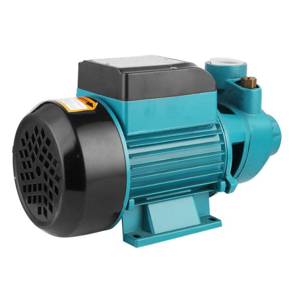 Fio de cobre submergível hidráulico 0.5hp da bomba de água QB60 100%