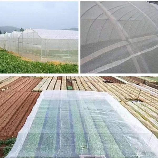 HDPE Nylon Insect Screen Mesh for Sustainable Agricultural Greenhouse and Vegetable Gardens