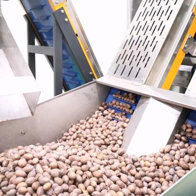 a alimentação 380V 8 canaliza 2 da capacidade da noz-pecã toneladas de CE do classificador certificado