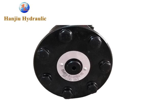 Le moteur hydraulique professionnel BMRS315 de treuil remplacent OMR315 MR315