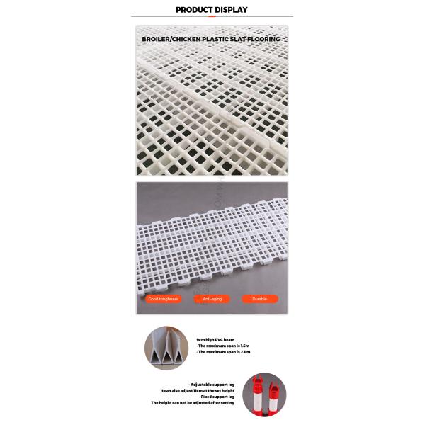Poultry Husbandry Animal Plastic Flooring Poultry Poultry Plastic Slat Plastic Slats Flooring