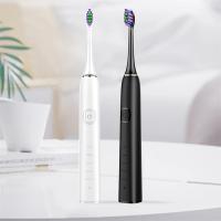 Fabrique en gros Brosse à dents électrique sonore SN903 Brosse à dents intelligente pour adultes