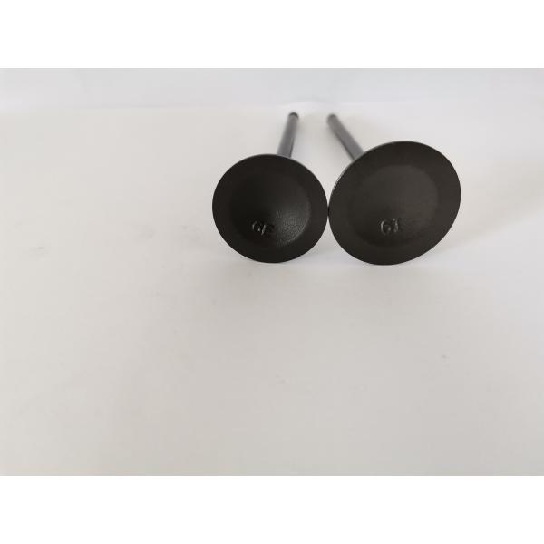 Mitsubish Airtrek 2.4 16v Diesel Engine Valve 4160A with Steel Material