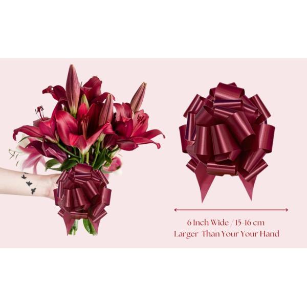 Easter Gift Wrap Pull Bows, Large 6 Inch Assorted Gift Pull Bows, For Gift Basket, Gift Bag Box Wrapping Decor