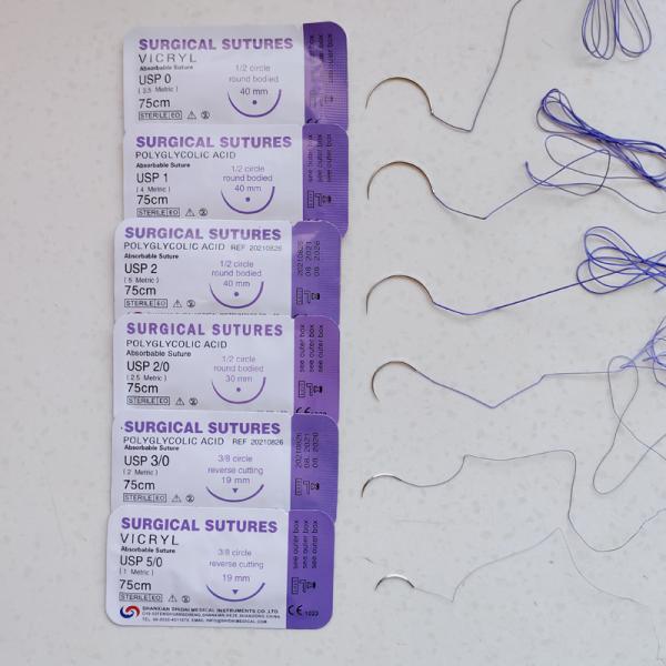 Polyglycolic Acid Surgical Suture