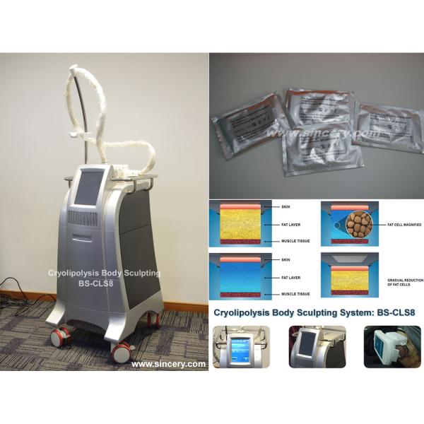 Cold Freezing cryolipolysis body sculpting system