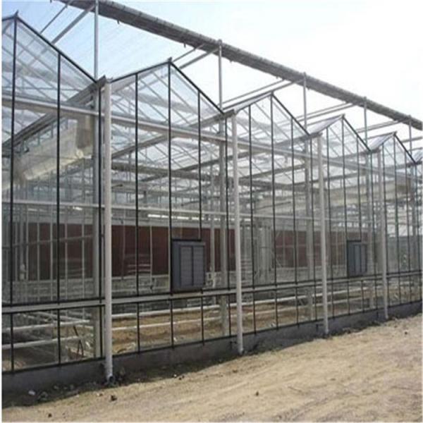 O tipo estufa de Venlo do vidro de Polytunnel do quadro do metal estabilizou 60x90m